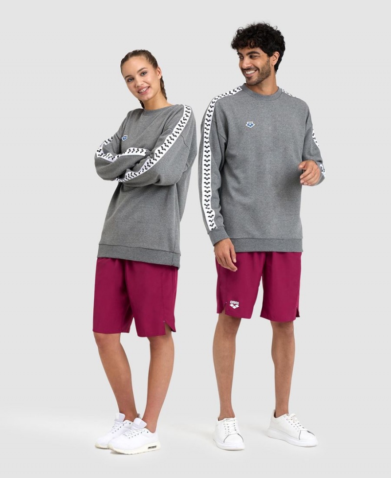 Arena Oversized Team Sweatshirt Grau Weiß | MEK03Z-713