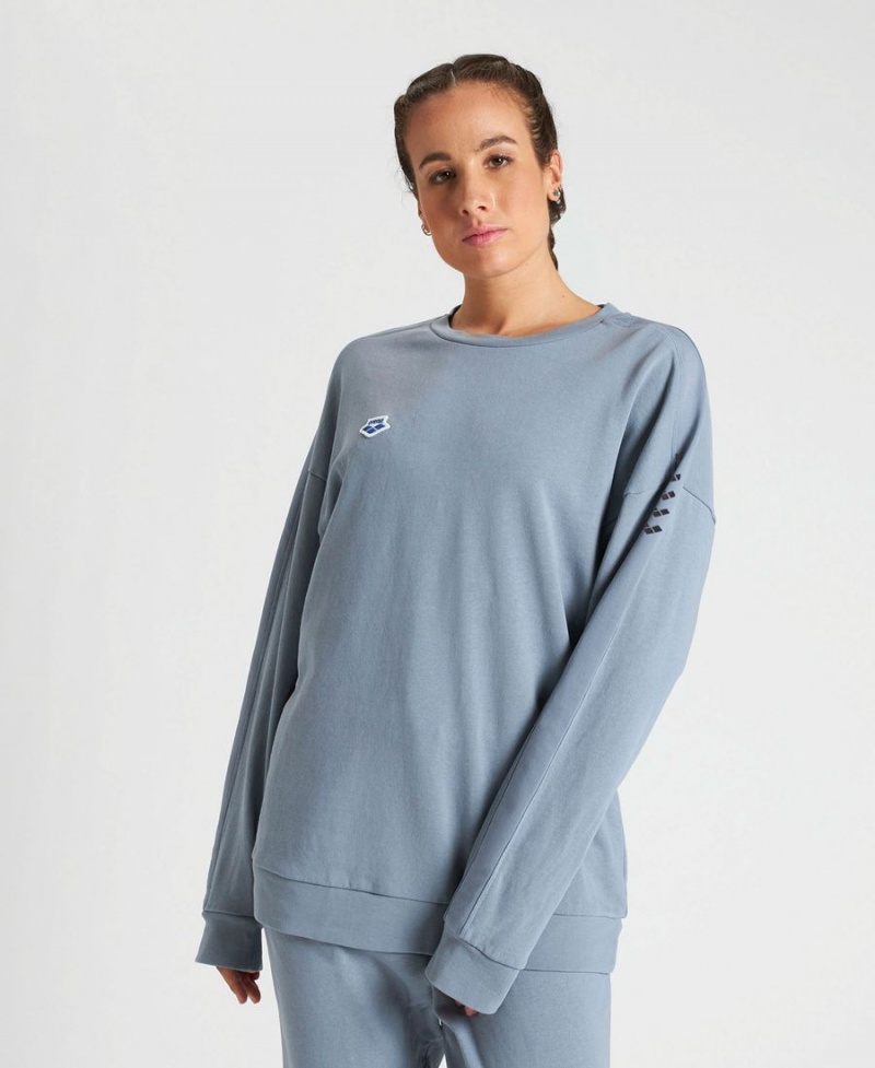 Arena Oversized Team Sweatshirt Grau | XQS06M-022