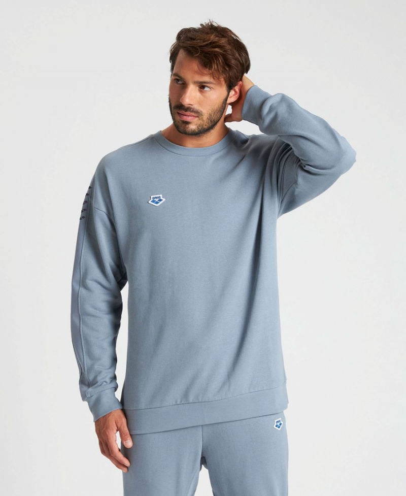 Arena Oversized Team Sweatshirt Grau | XQS06M-022