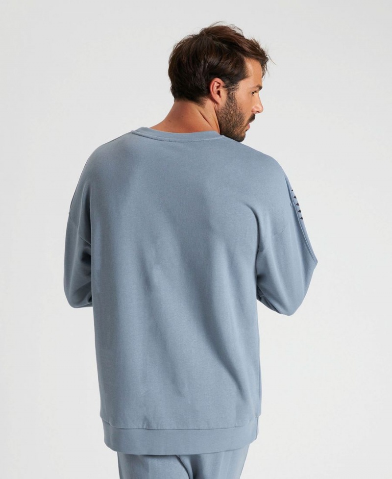 Arena Oversized Team Sweatshirt Grau | XQS06M-022