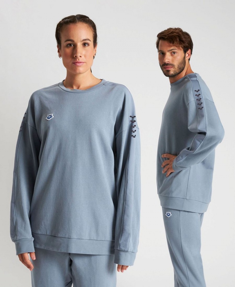 Arena Oversized Team Sweatshirt Grau | XQS06M-022