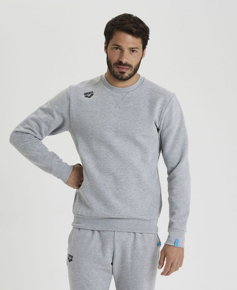 Arena Solid Crewneck Sweatshirt Grau | JSS50Q-235