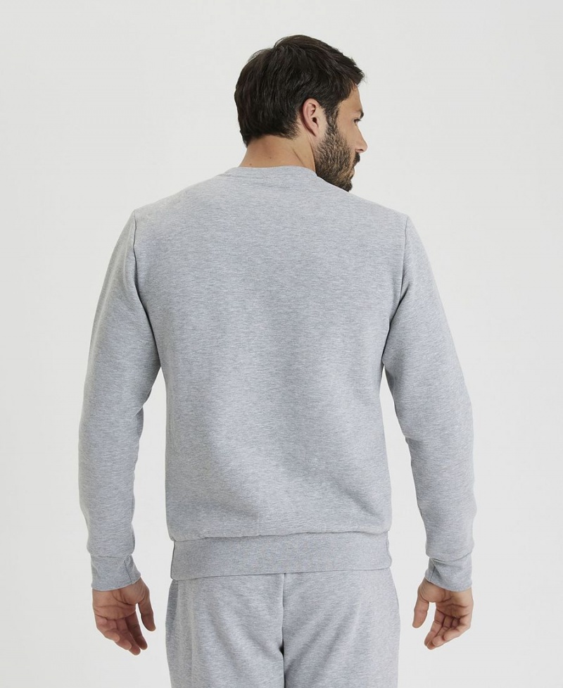 Arena Solid Crewneck Sweatshirt Grau | JSS50Q-235