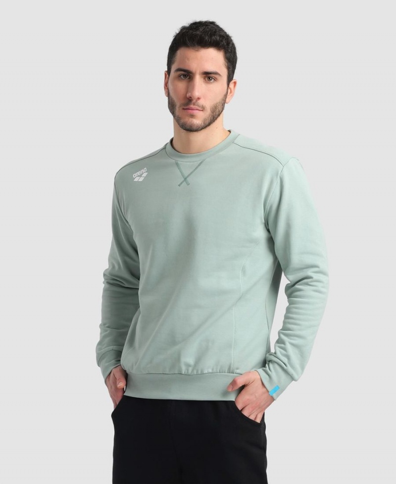 Arena Solid Crewneck Sweatshirt Grün | VOM96P-647