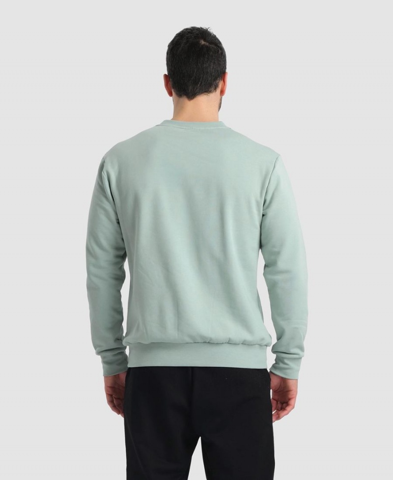 Arena Solid Crewneck Sweatshirt Grün | VOM96P-647