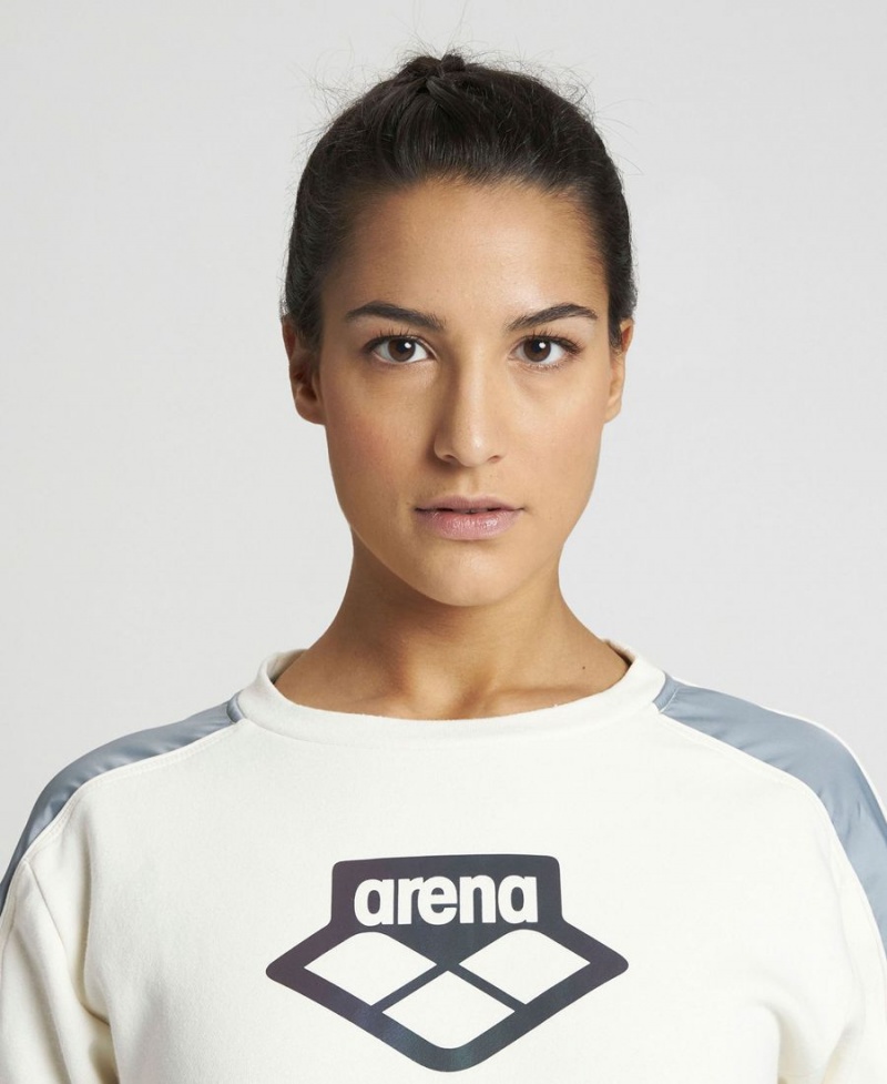 Arena Team Crew Neck Sweatshirt Weiß Grau | LXN35F-840