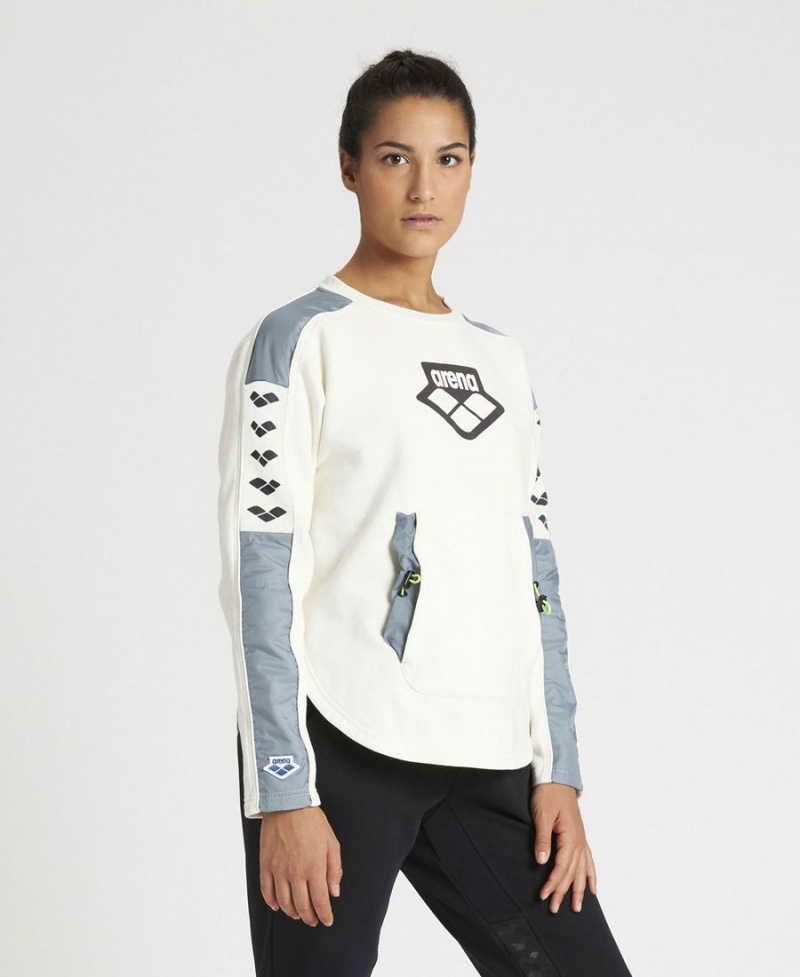 Arena Team Crew Neck Sweatshirt Weiß Grau | LXN35F-840