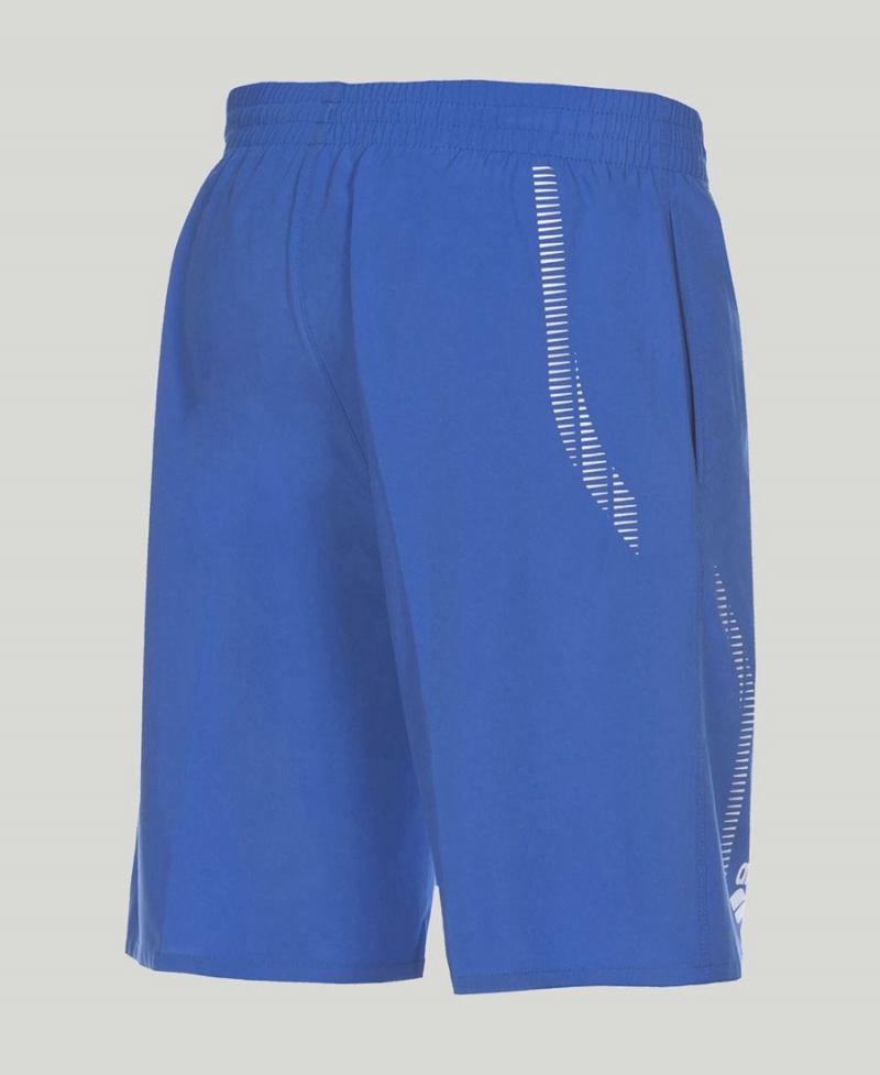 Arena Team Line Bermuda Kurze Hose Blau | IHR36Q-297