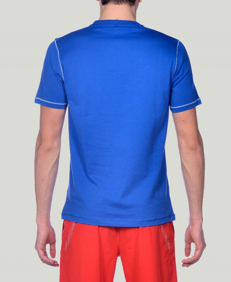 Arena Team Line Kurzes Sleeve T-Shirt Blau | ETU07B-389