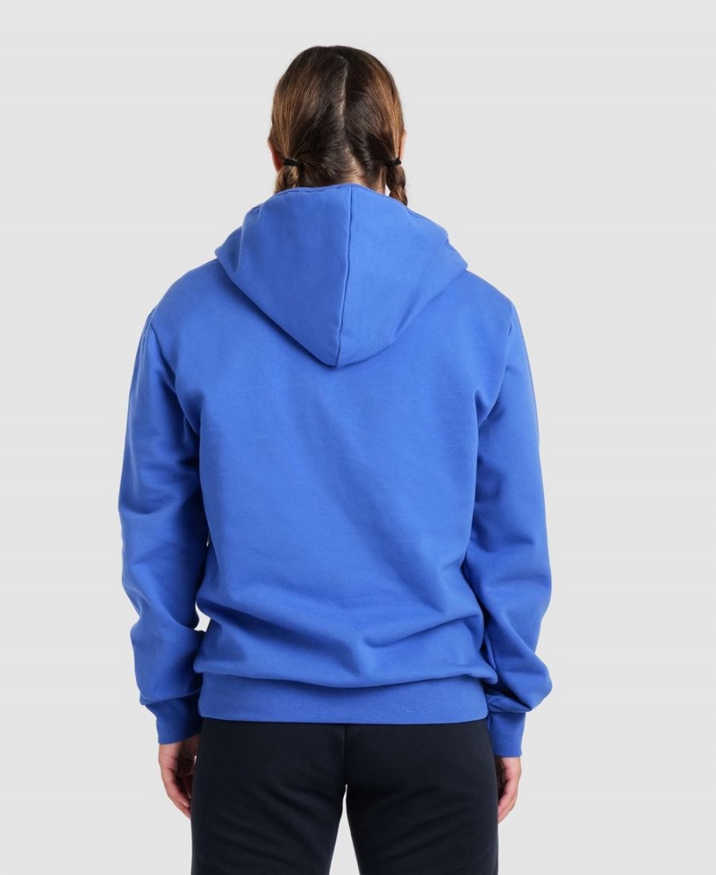 Arena Team Mit Kapuze Panel Jacke Blau | PGE45P-951