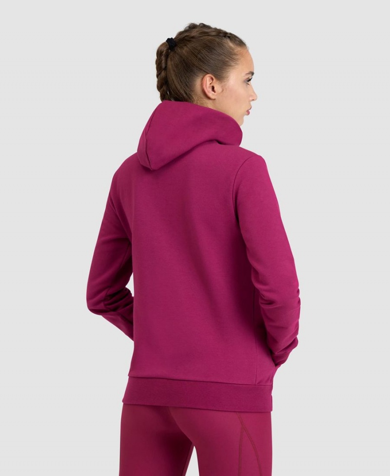 Arena Team Mit Kapuze Panel Jacke Bordeaux | VUA42L-869