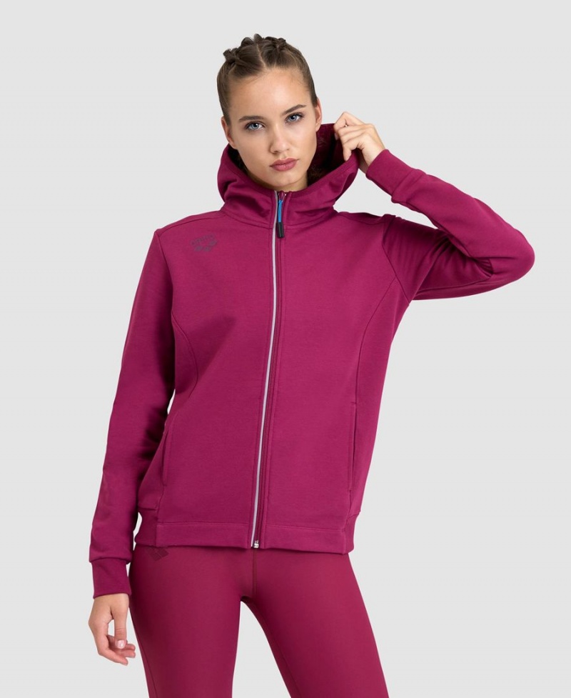 Arena Team Mit Kapuze Panel Jacke Bordeaux | VUA42L-869