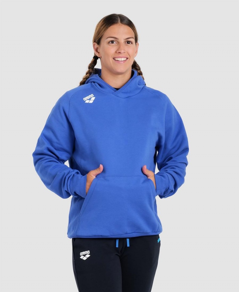 Arena Team Mit Kapuze Panel Sweatshirt Blau | NCA46D-177