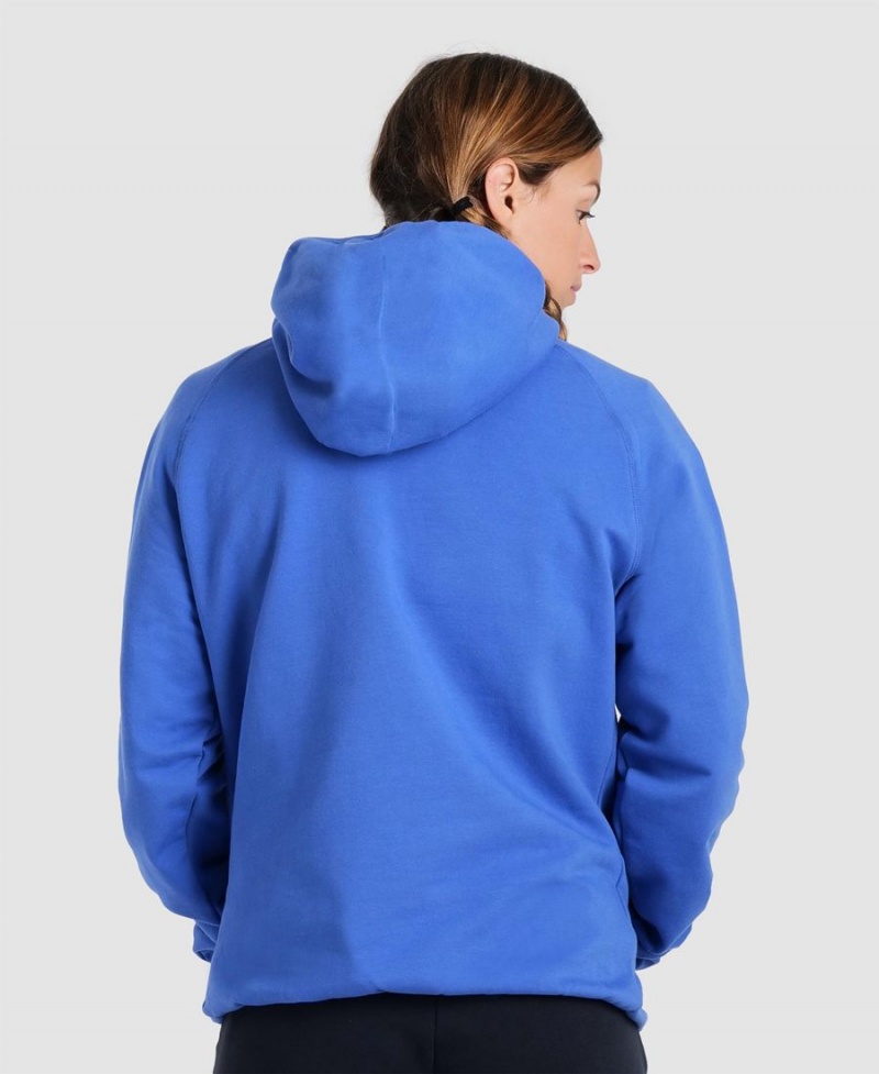 Arena Team Mit Kapuze Panel Sweatshirt Blau | NCA46D-177