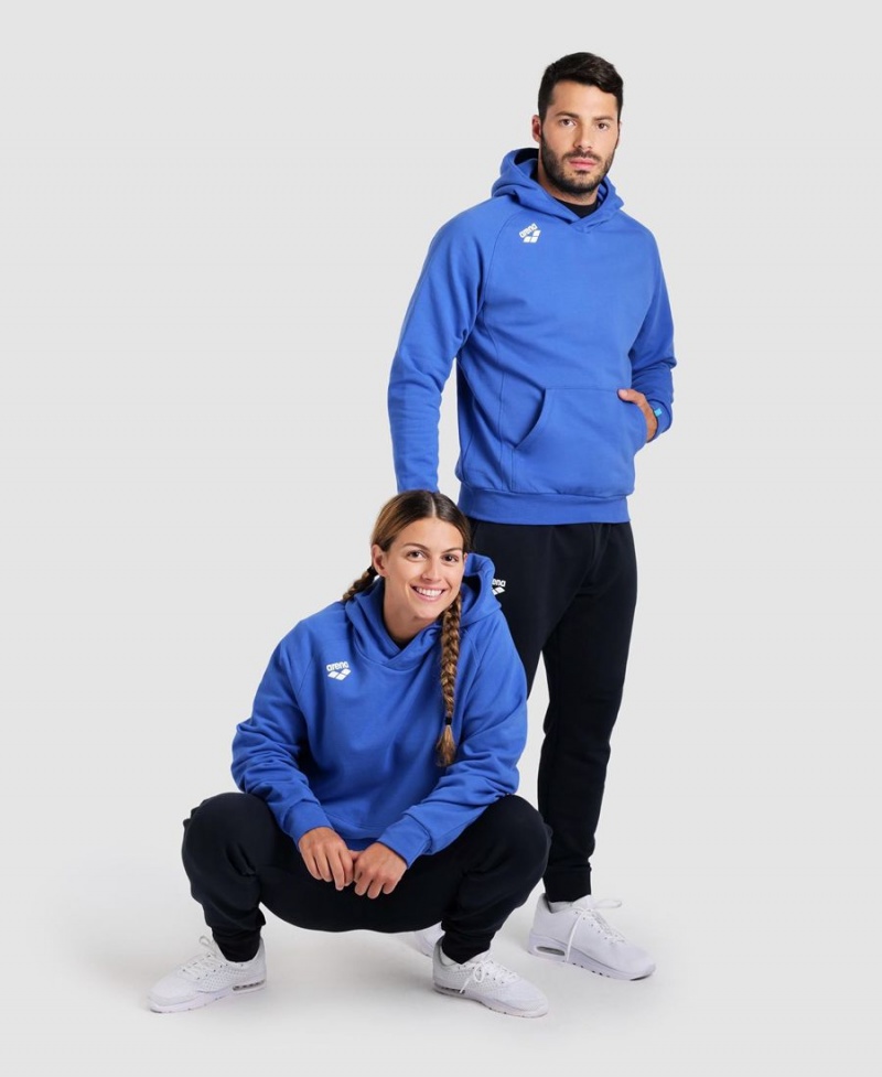 Arena Team Mit Kapuze Panel Sweatshirt Blau | NCA46D-177