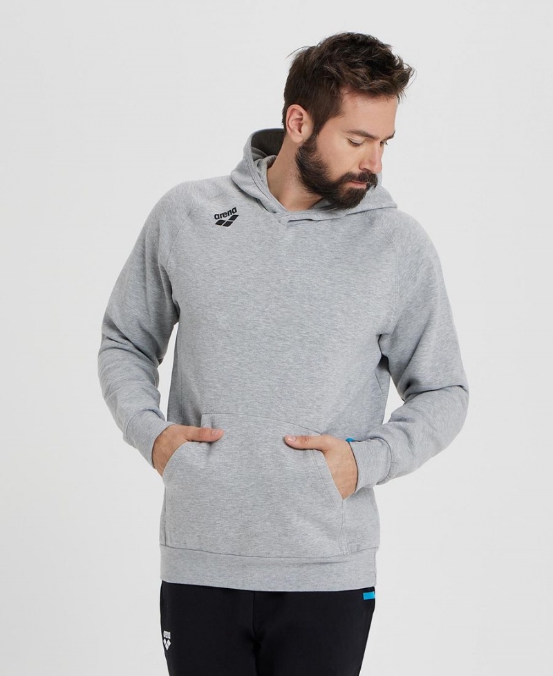 Arena Team Mit Kapuze Panel Sweatshirt Grau | ACS34K-131