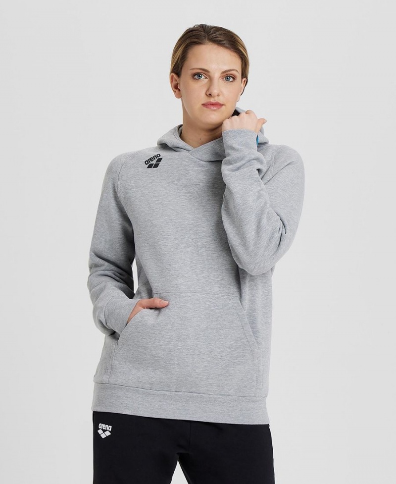 Arena Team Mit Kapuze Panel Sweatshirt Grau | ACS34K-131