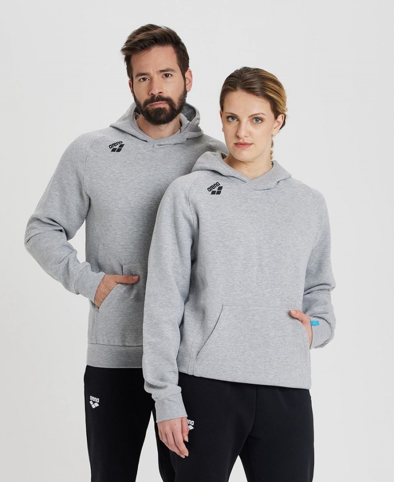 Arena Team Mit Kapuze Panel Sweatshirt Grau | ACS34K-131