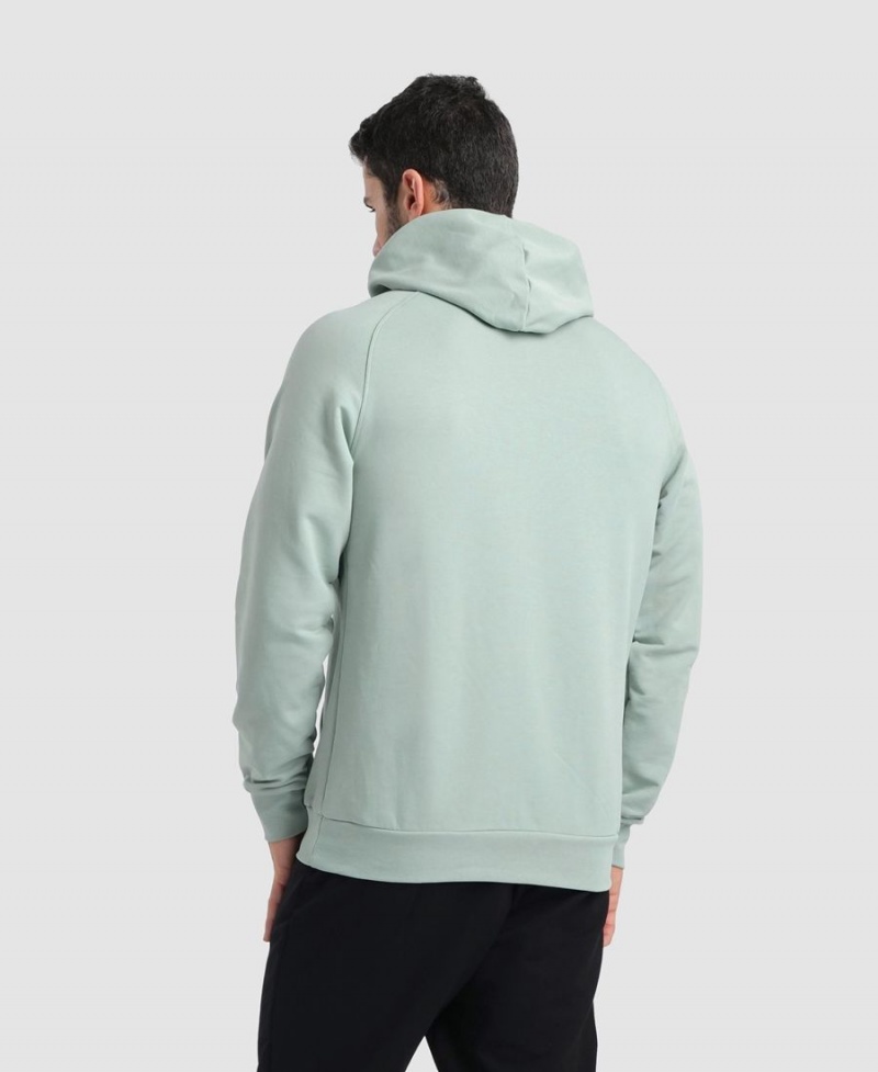 Arena Team Mit Kapuze Panel Sweatshirt Grün | EPM62L-569