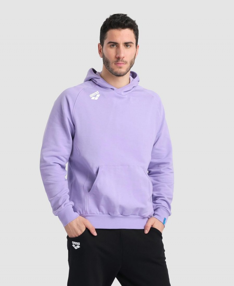 Arena Team Mit Kapuze Panel Sweatshirt Lila | FEH47N-969