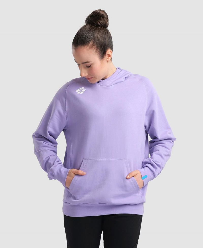 Arena Team Mit Kapuze Panel Sweatshirt Lila | FEH47N-969