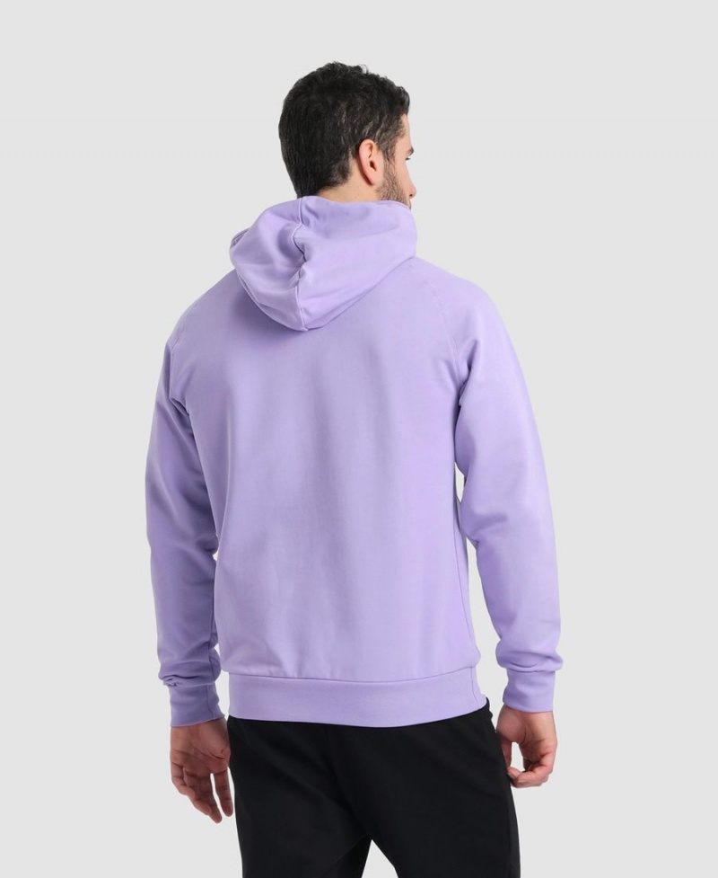 Arena Team Mit Kapuze Panel Sweatshirt Lila | FEH47N-969