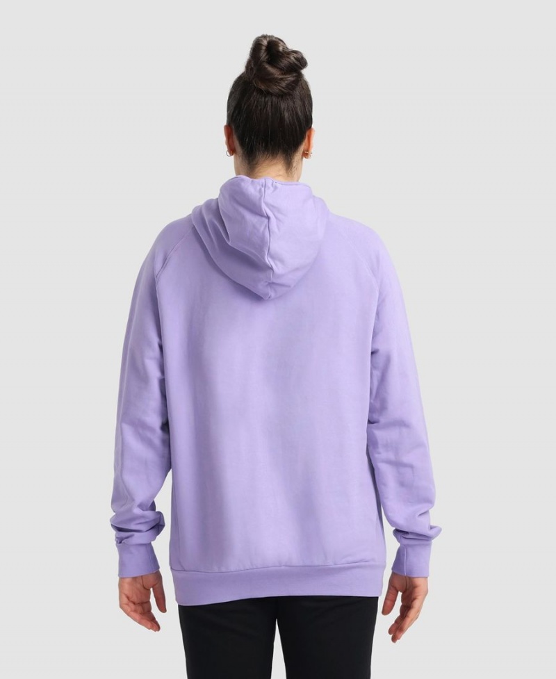 Arena Team Mit Kapuze Panel Sweatshirt Lila | FEH47N-969