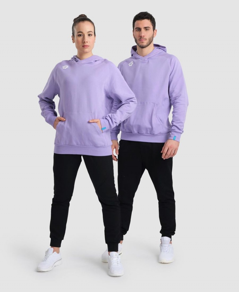 Arena Team Mit Kapuze Panel Sweatshirt Lila | FEH47N-969