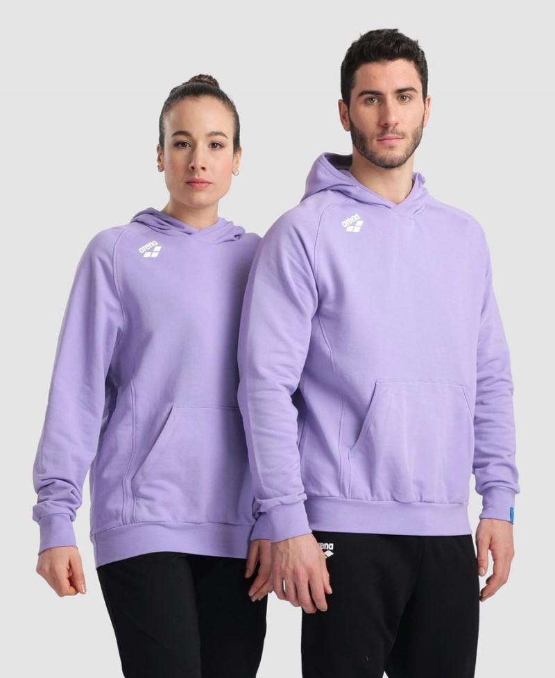 Arena Team Mit Kapuze Panel Sweatshirt Lila | FEH47N-969