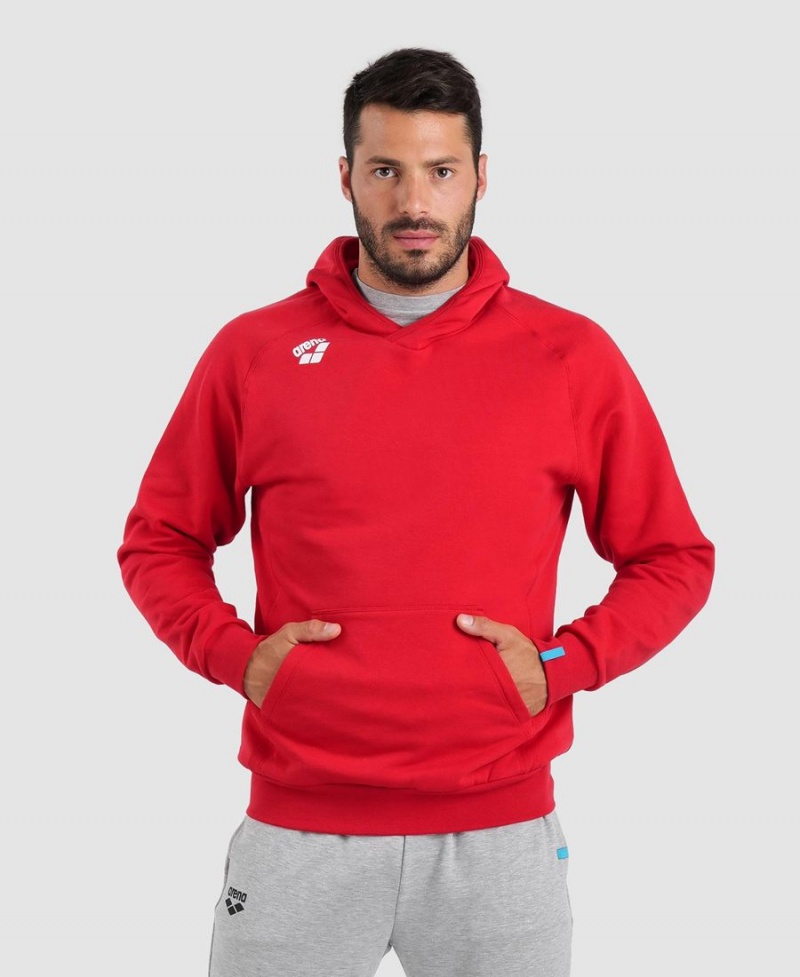 Arena Team Mit Kapuze Panel Sweatshirt Rot | VZG57L-985