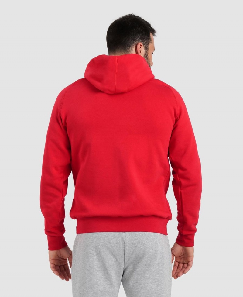 Arena Team Mit Kapuze Panel Sweatshirt Rot | VZG57L-985