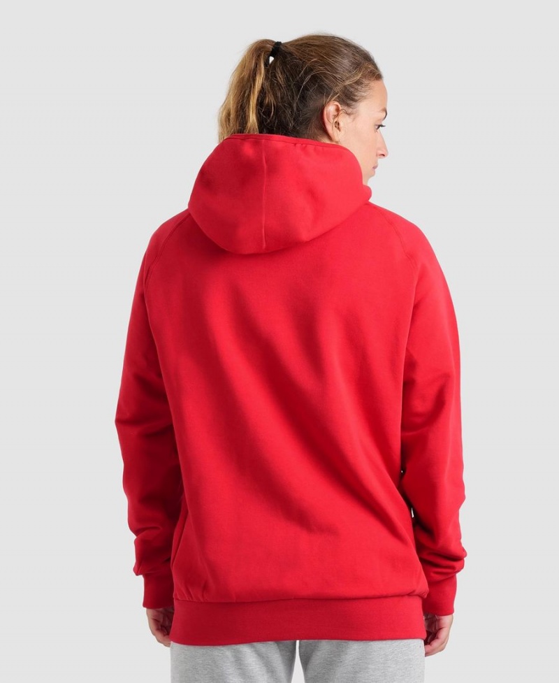 Arena Team Mit Kapuze Panel Sweatshirt Rot | VZG57L-985