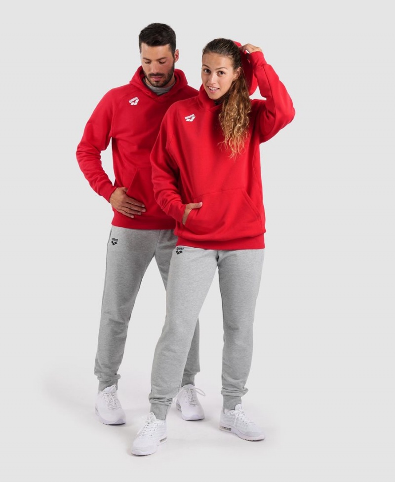 Arena Team Mit Kapuze Panel Sweatshirt Rot | VZG57L-985