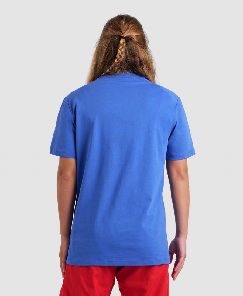 Arena Team Panel T-Shirt Blau | ARL72P-748