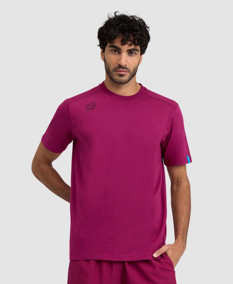 Arena Team Panel T-Shirt Bordeaux | IEL04K-781