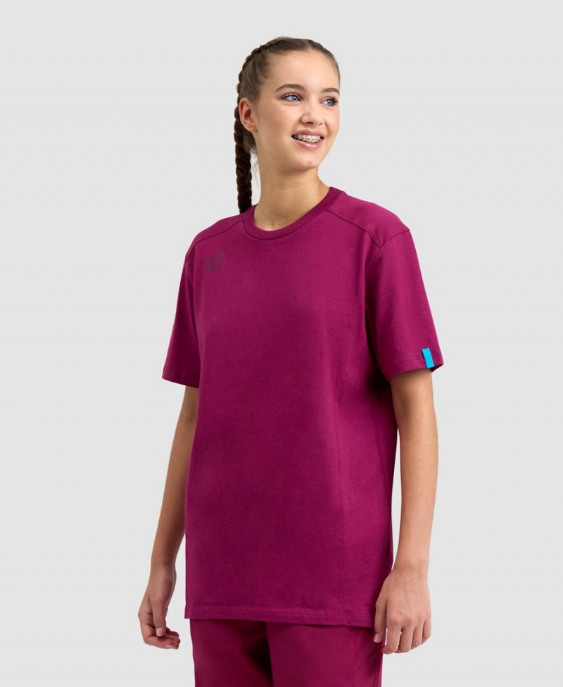 Arena Team Panel T-Shirt Bordeaux | IEL04K-781