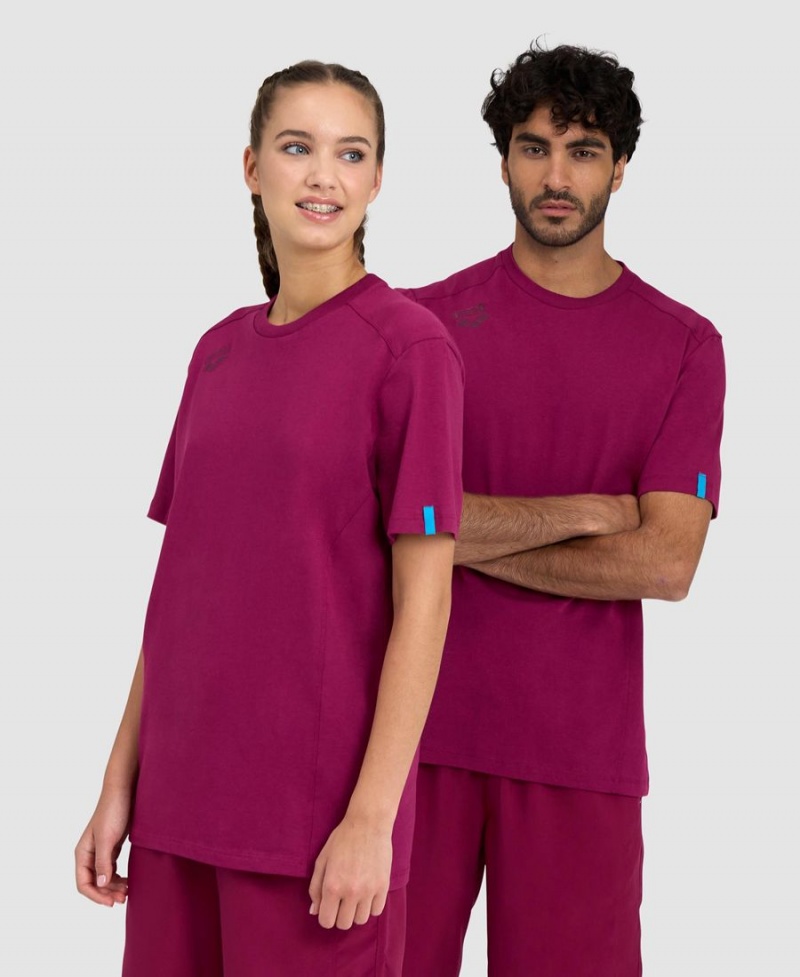 Arena Team Panel T-Shirt Bordeaux | IEL04K-781