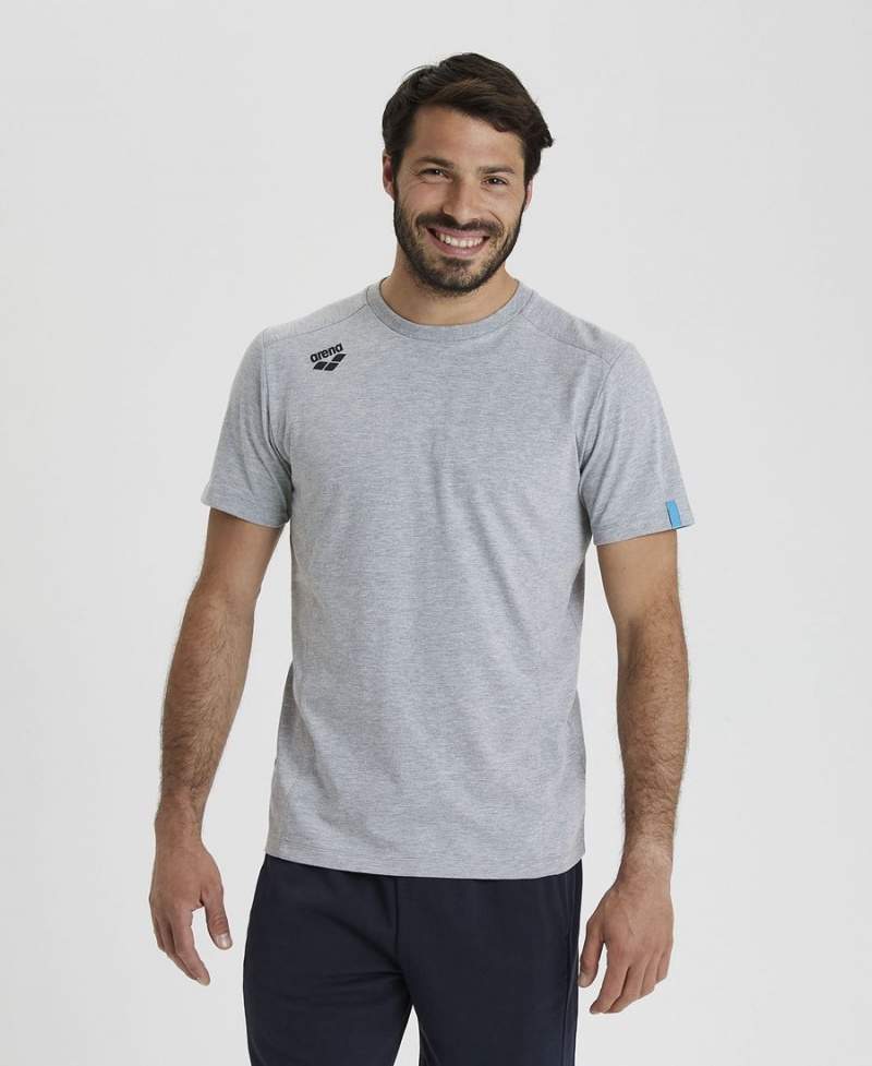 Arena Team Panel T-Shirt Grau | PFP11H-407