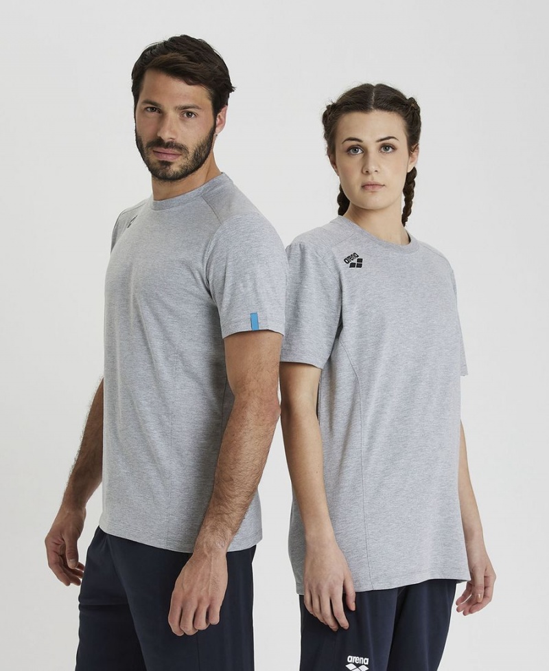 Arena Team Panel T-Shirt Grau | PFP11H-407