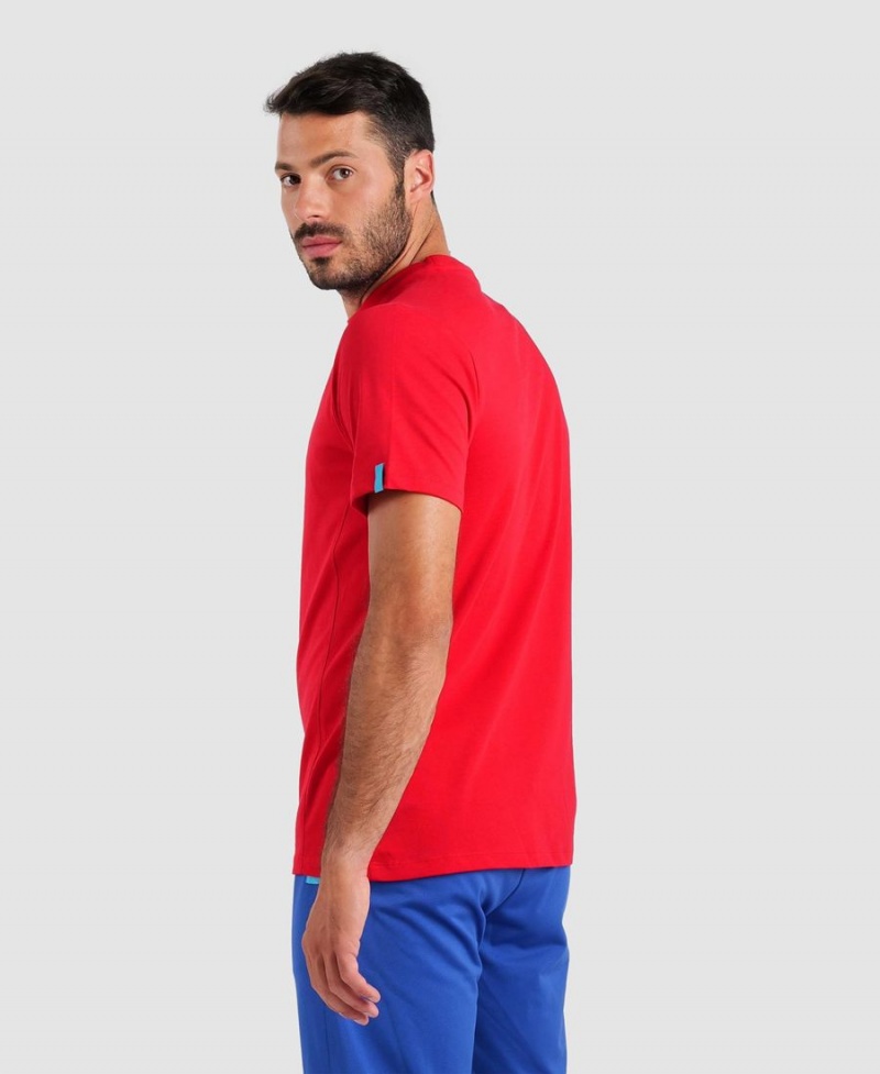 Arena Team Panel T-Shirt Rot | KMY65R-874