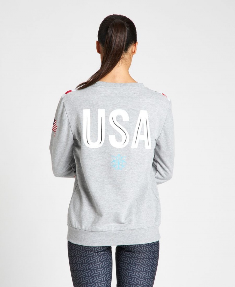 Arena USA Swimming Team Crewneck Sweatshirt Grau | GKH14Z-460