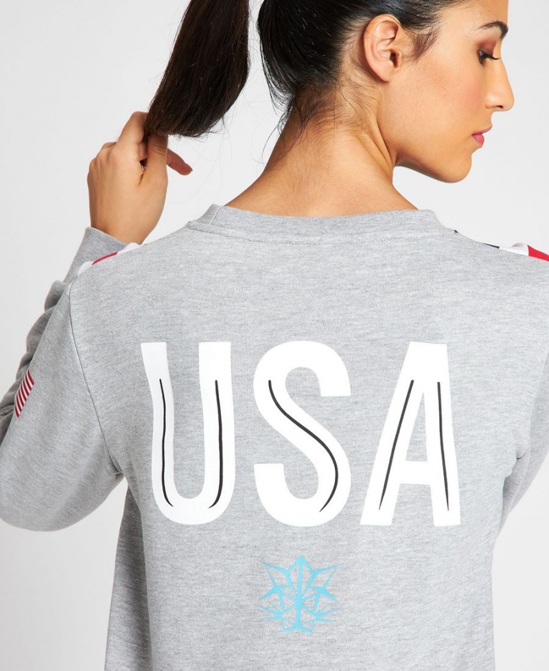 Arena USA Swimming Team Crewneck Sweatshirt Grau | GKH14Z-460