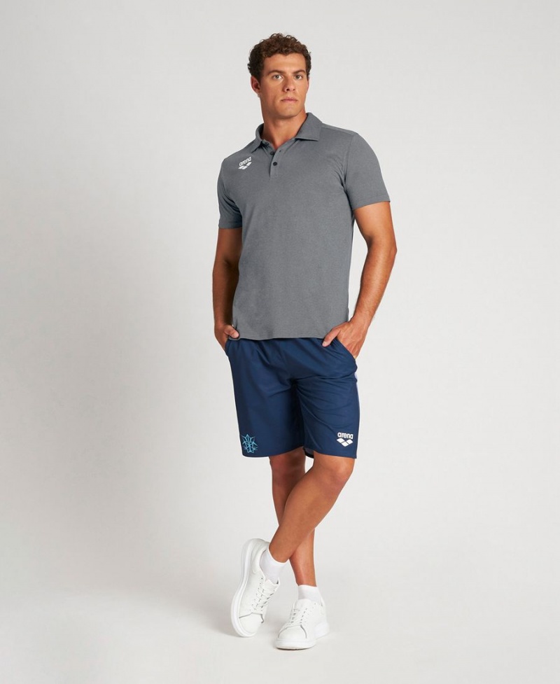 Arena USA Tech Poloshirt Grau | VZX08E-422