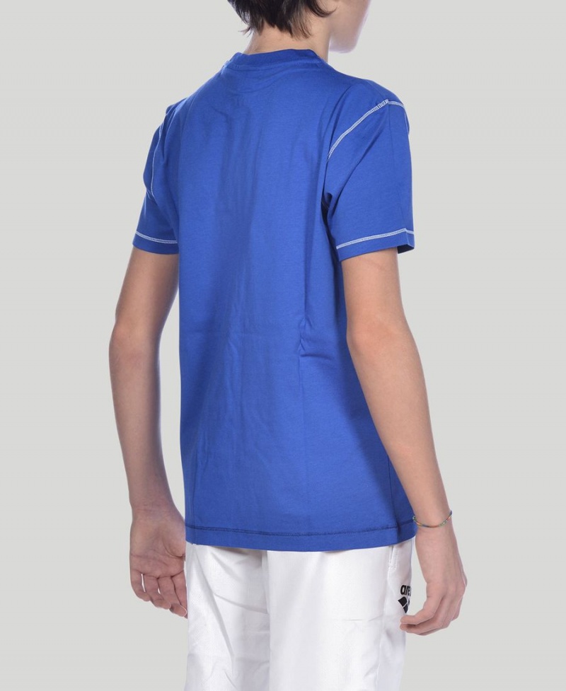 Arena Youth Team Line Kurzes Sleeve T-Shirt Blau | EDW21A-488