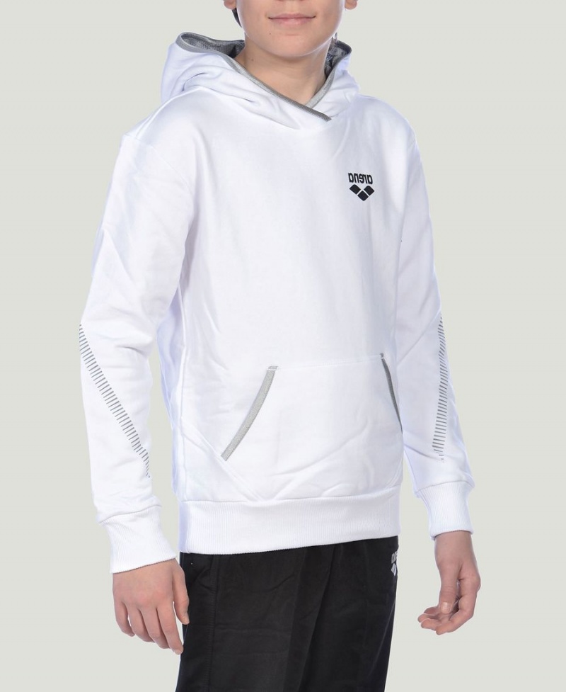 Arena Youth Team Line Long Sleeve Hoodie Weiß | XJD30H-436