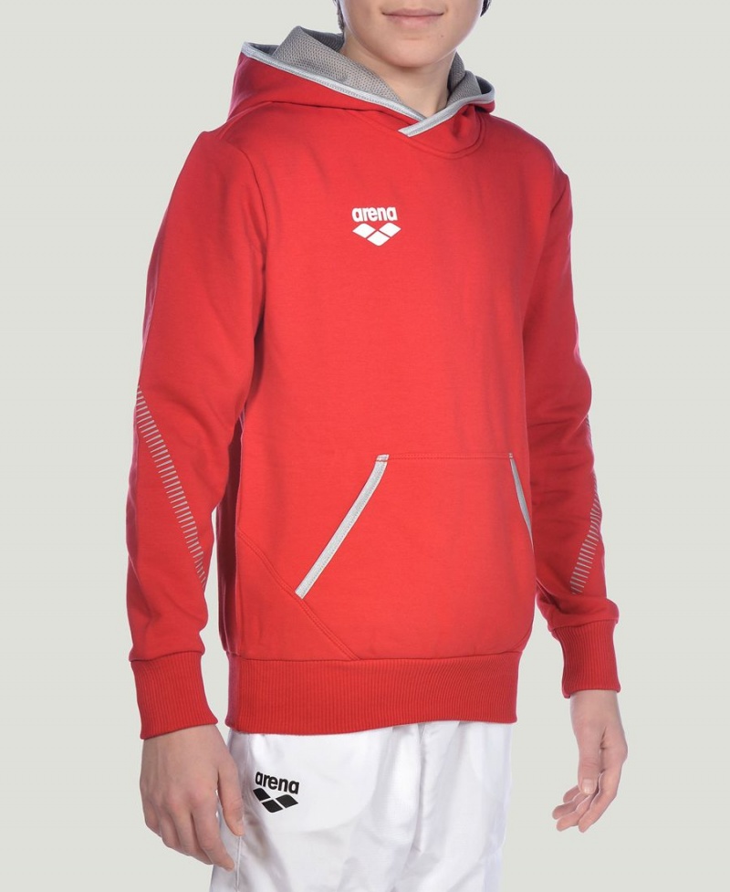 Arena Youth Team Line Long Sleeve Hoodie Rot | CAO18I-699