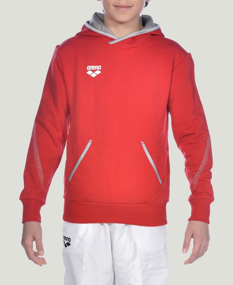 Arena Youth Team Line Long Sleeve Hoodie Rot | CAO18I-699