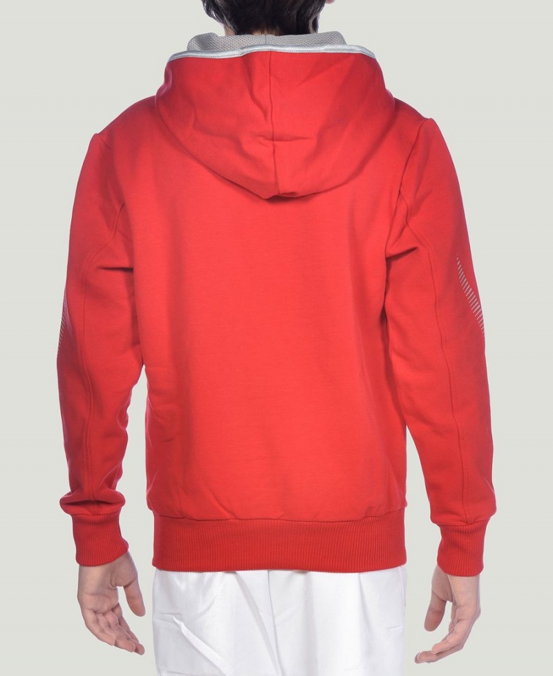 Arena Youth Team Line Long Sleeve Hoodie Rot | CAO18I-699