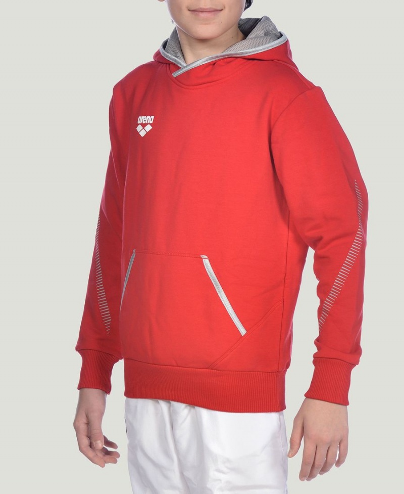 Arena Youth Team Line Long Sleeve Hoodie Rot | CAO18I-699