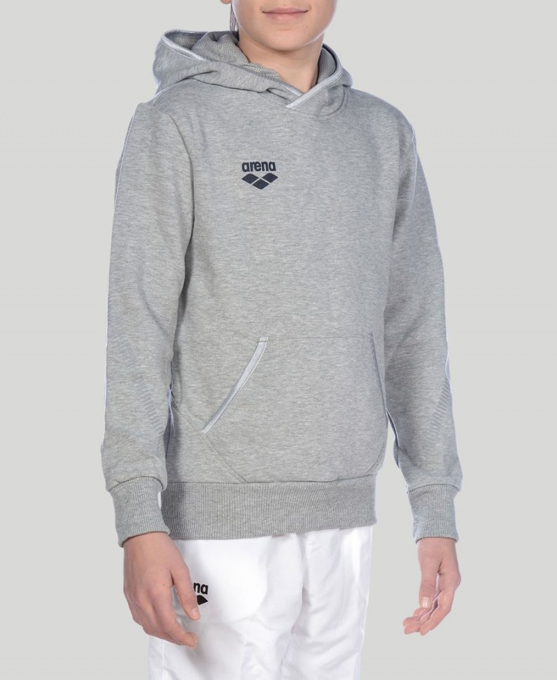 Arena Youth Team Line Long Sleeve Hoodie Grau | OPL97H-276